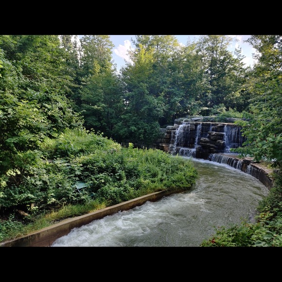 Meet your Posher, Sana - Picture 1 of 1